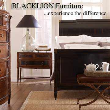 Blacklion Furniture Store