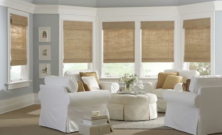 Beautiful Bamboo Roman Shades For French Doors Home Depot