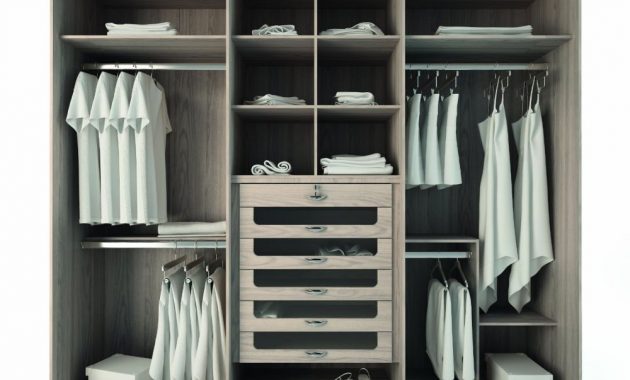 Stand Alone Closet Organizers Withtowering Doors Compartments
