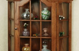small-and-minimalist-mounted-cabinet-wall-mounted-curio-cabinet-and-what-to-consider-when-purchasing